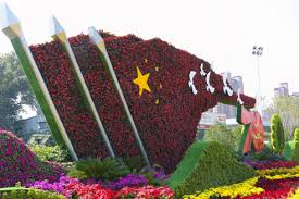 贝博中国 武冈全国最大绿化树苗批发市场是哪里